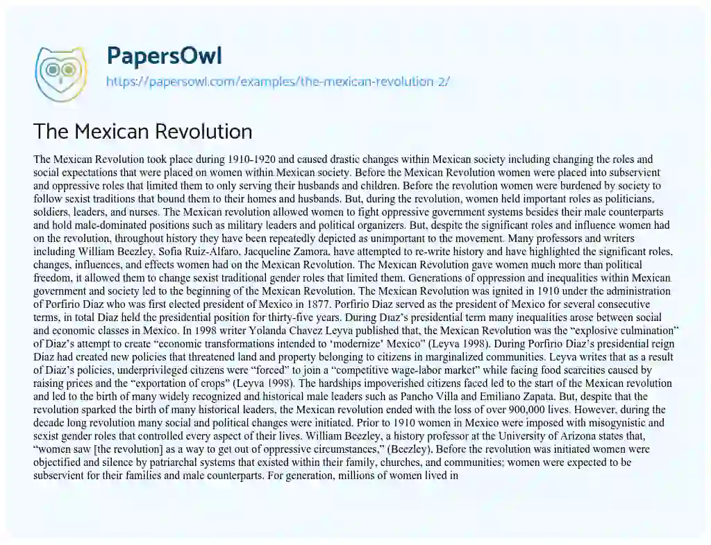 Essay on The Mexican Revolution