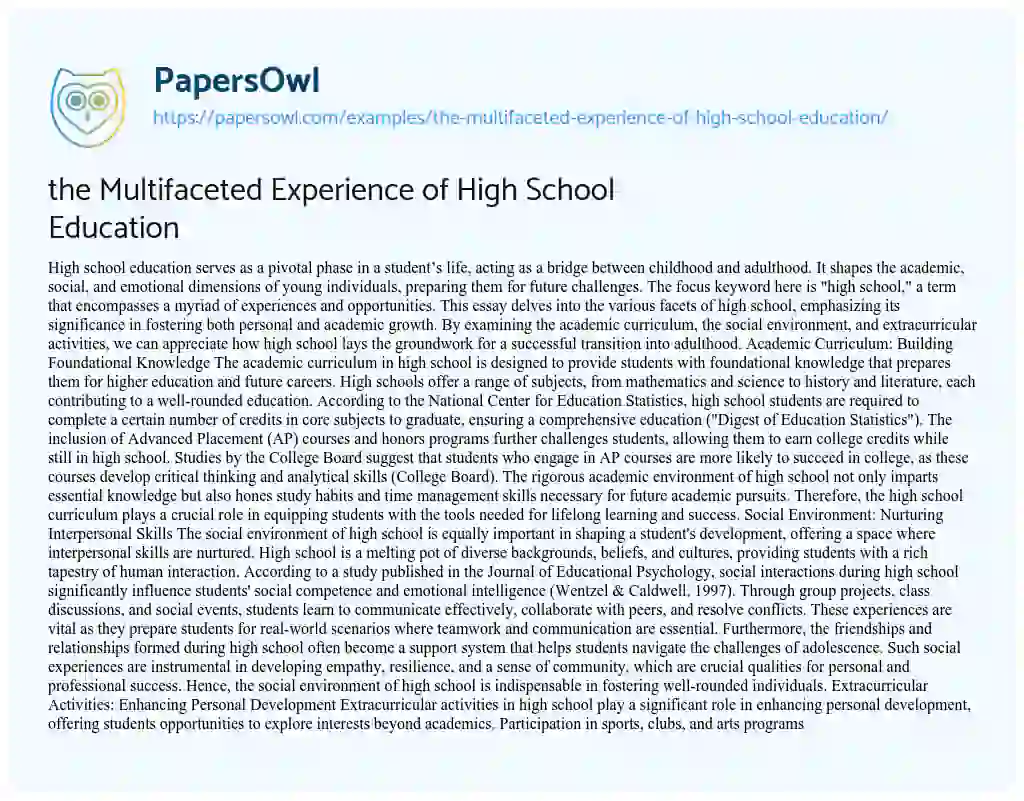 Essay on the Multifaceted Experience of High School Education