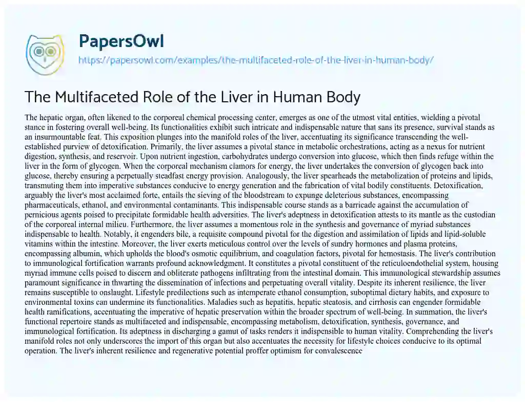 Essay on The Multifaceted Role of the Liver in Human Body