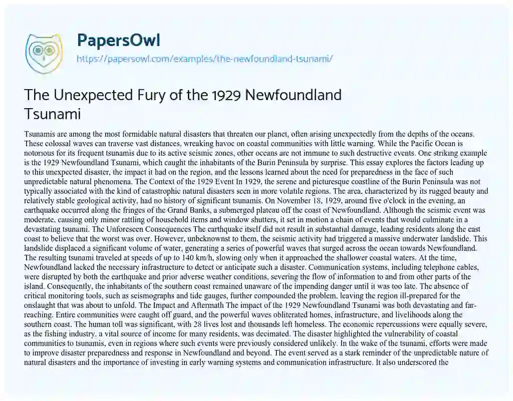 Essay on The Newfoundland Tsunami