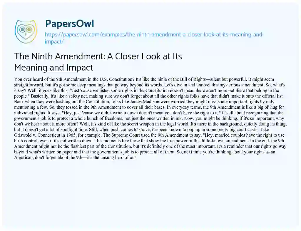 Essay on The Ninth Amendment: a Closer Look at its Meaning and Impact