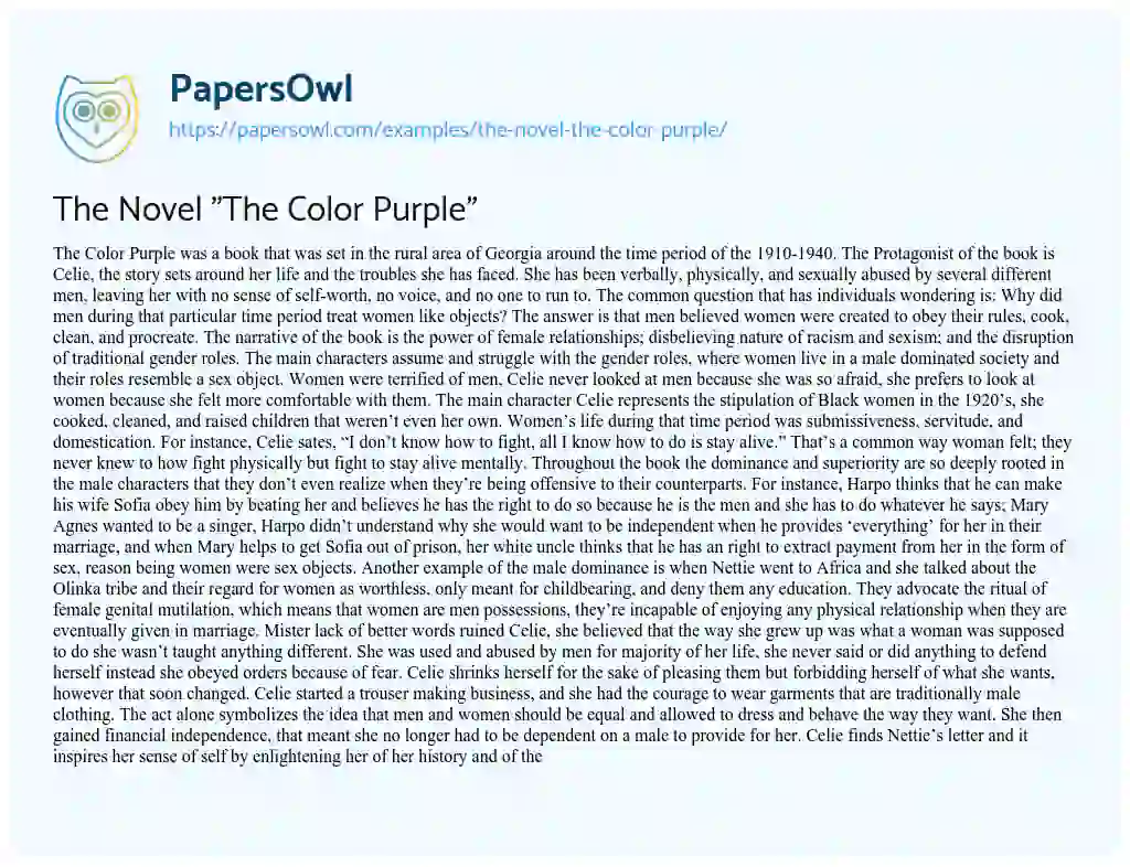 Essay on The Novel “The Color Purple”