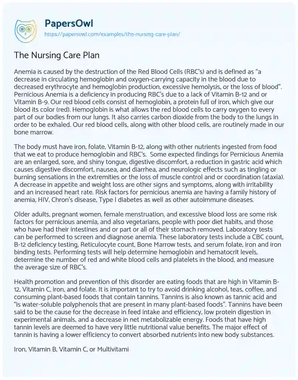 Essay on The Nursing Care Plan