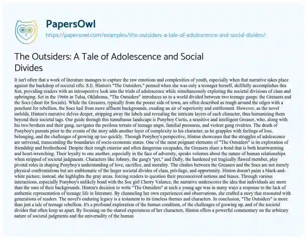 Essay on The Outsiders: a Tale of Adolescence and Social Divides