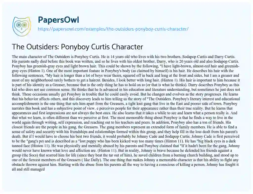 Essay on The Outsiders: Ponyboy Curtis Character