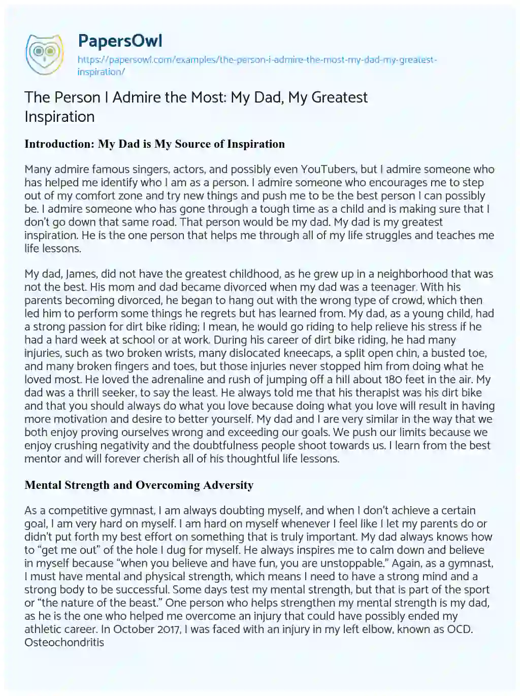 essay on the person i admire the most my father