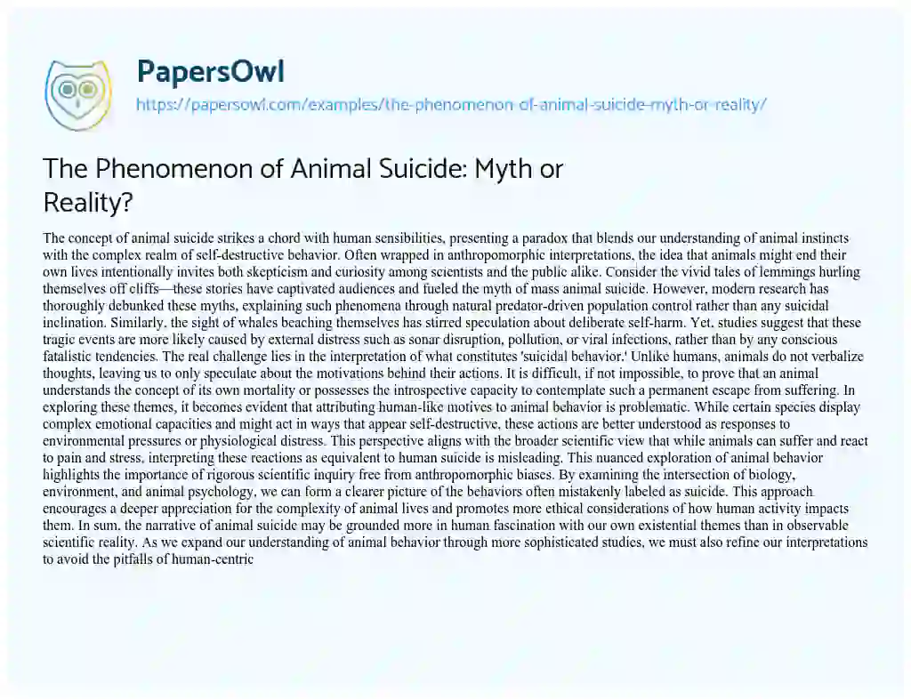 Essay on The Phenomenon of Animal Suicide: Myth or Reality?