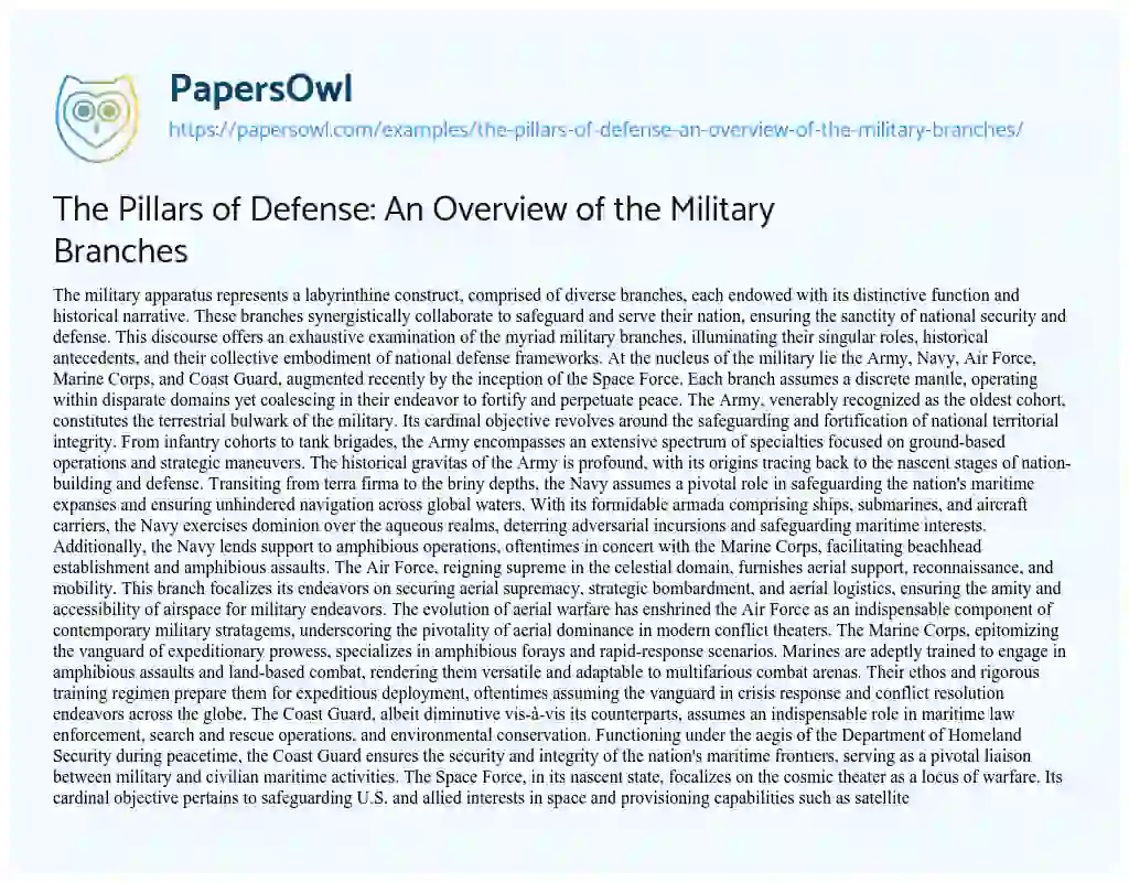 Essay on The Pillars of Defense: an Overview of the Military Branches