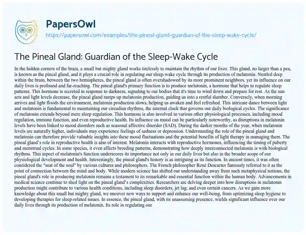 Essay on The Pineal Gland: Guardian of the Sleep-Wake Cycle