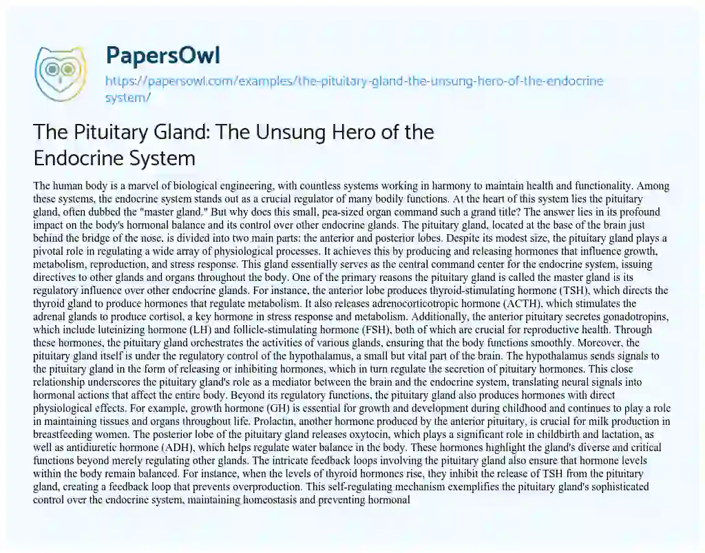 Essay on The Pituitary Gland: the Unsung Hero of the Endocrine System