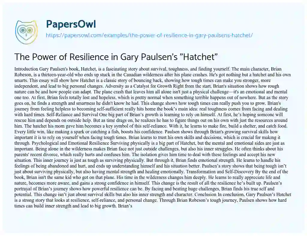 Essay on The Power of Resilience in Gary Paulsen’s “Hatchet”