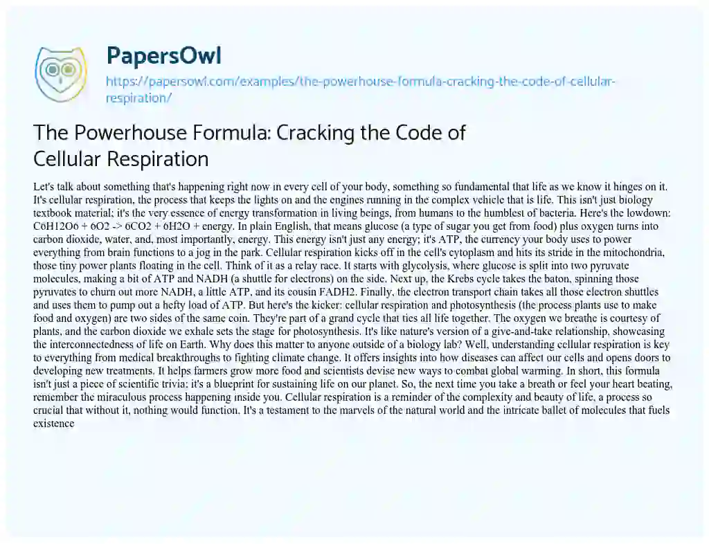 Essay on The Powerhouse Formula: Cracking the Code of Cellular Respiration