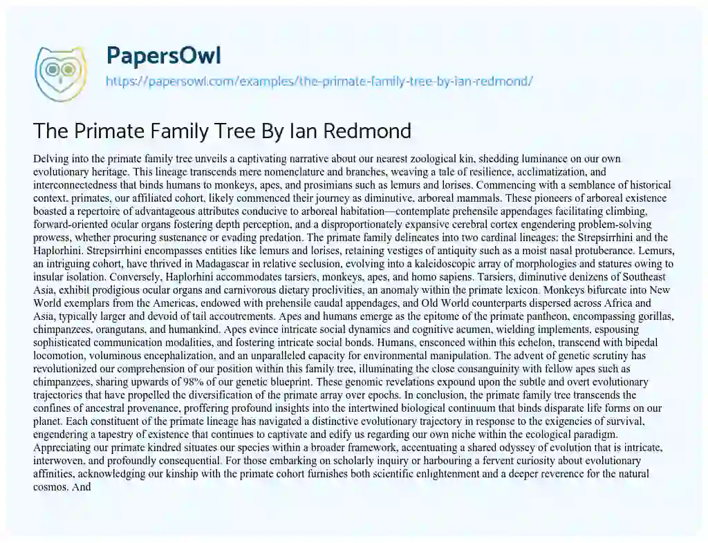 Essay on The Primate Family Tree by Ian Redmond