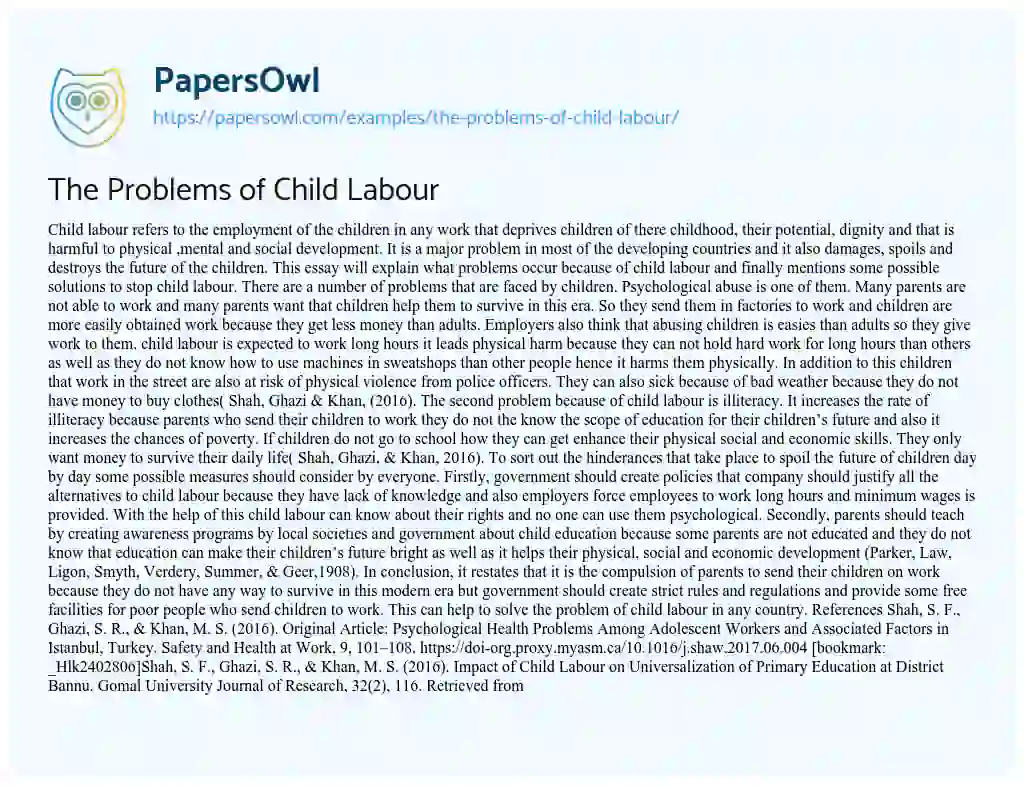 The Problems of Child Labour essay