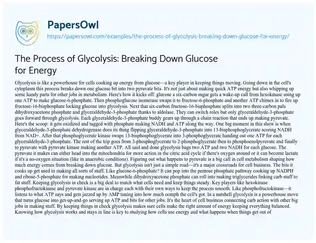 Essay on The Process of Glycolysis: Breaking down Glucose for Energy