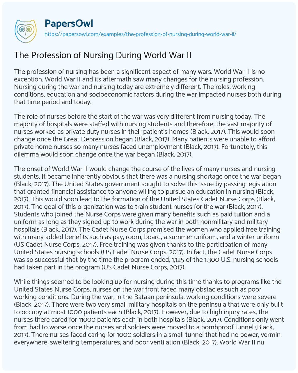 Essay on The Profession of Nursing during World War II