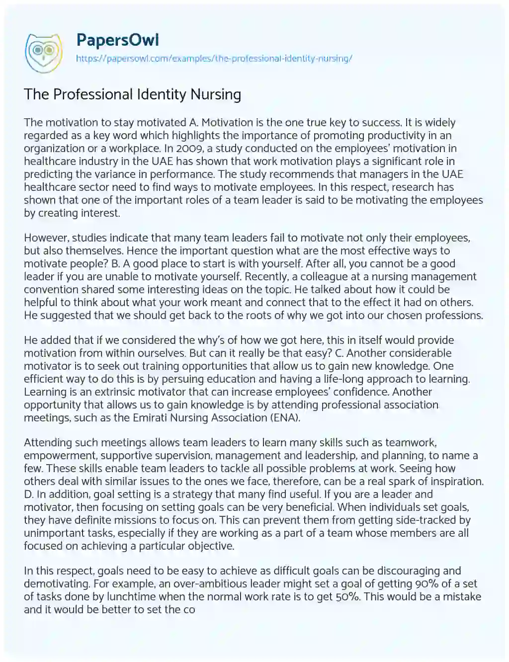 Essay on The Professional Identity Nursing