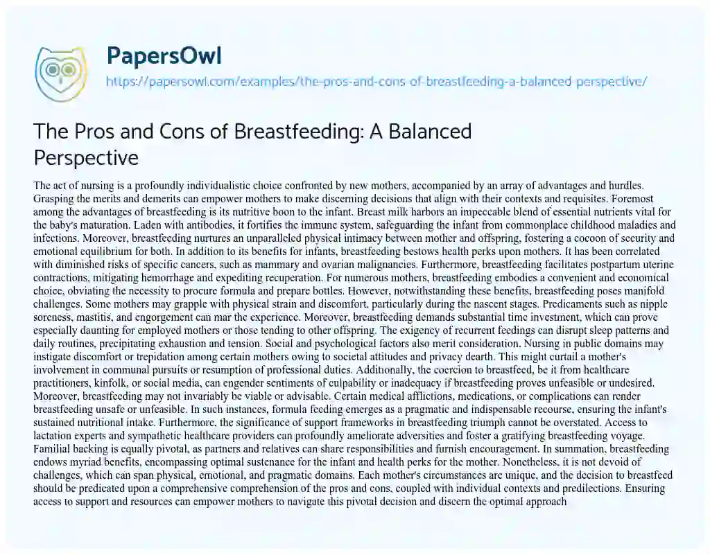 Essay on The Pros and Cons of Breastfeeding: a Balanced Perspective