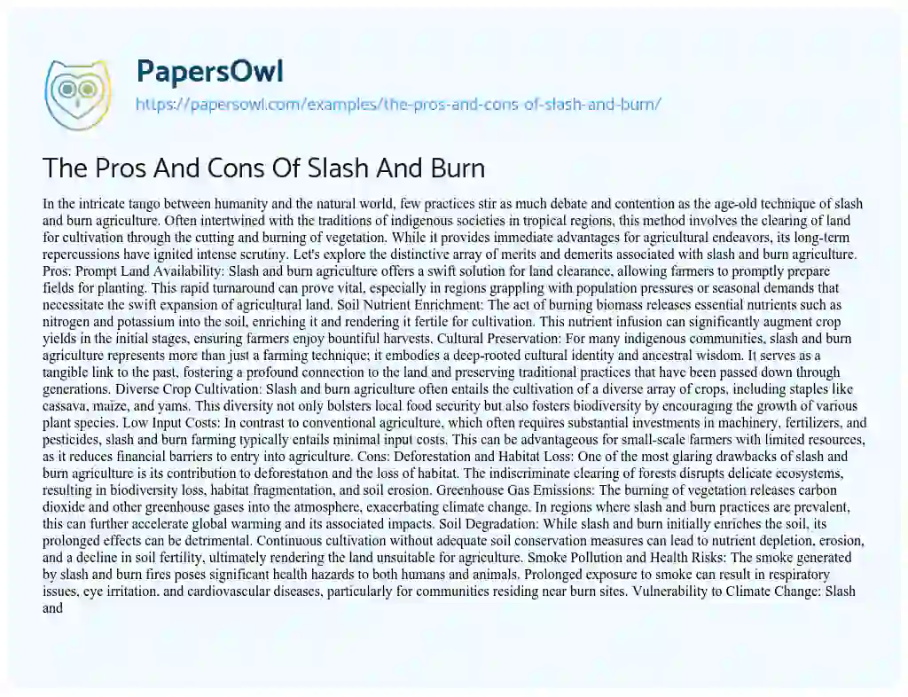 Essay on The Pros and Cons of Slash and Burn