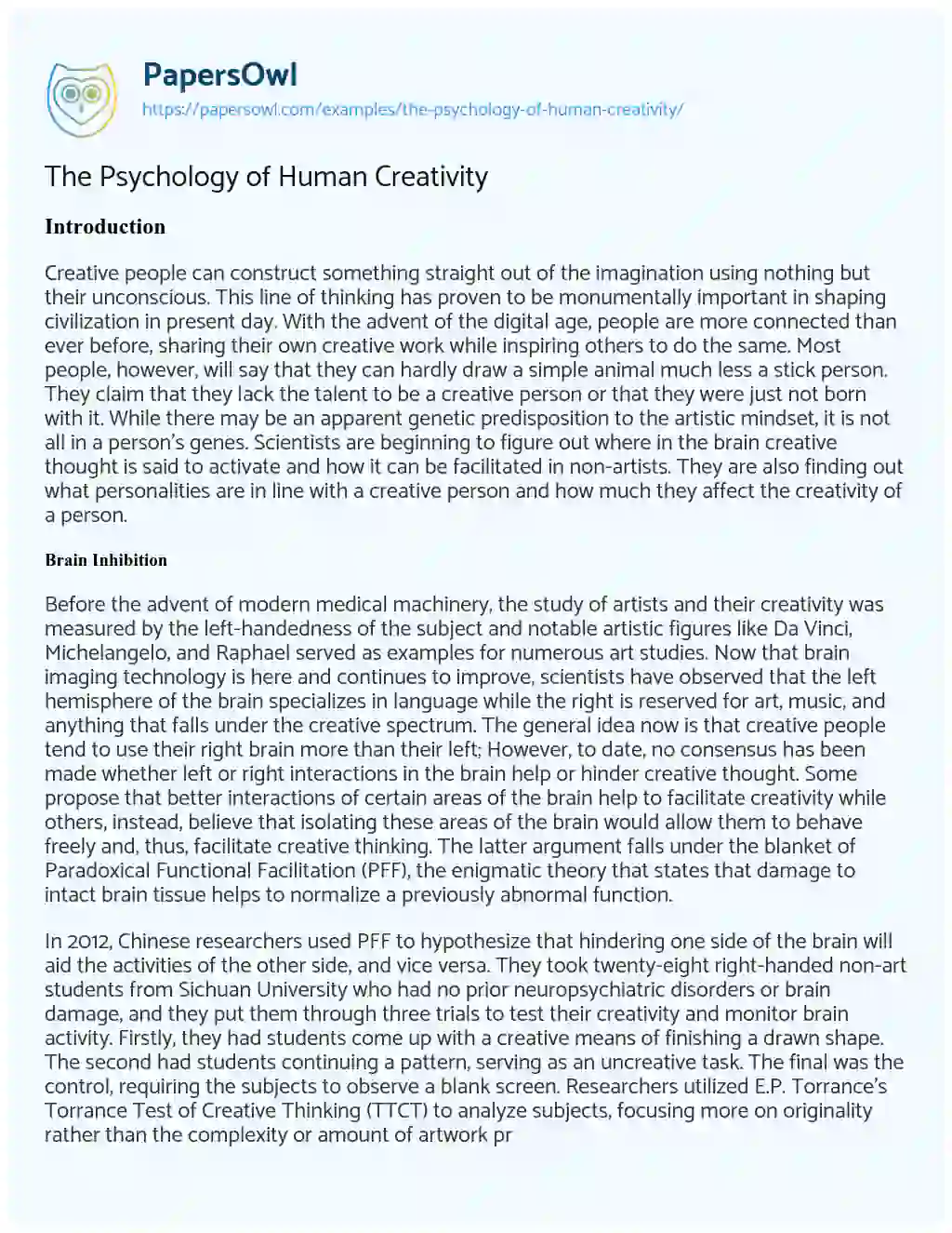 The Psychology of Human Creativity essay