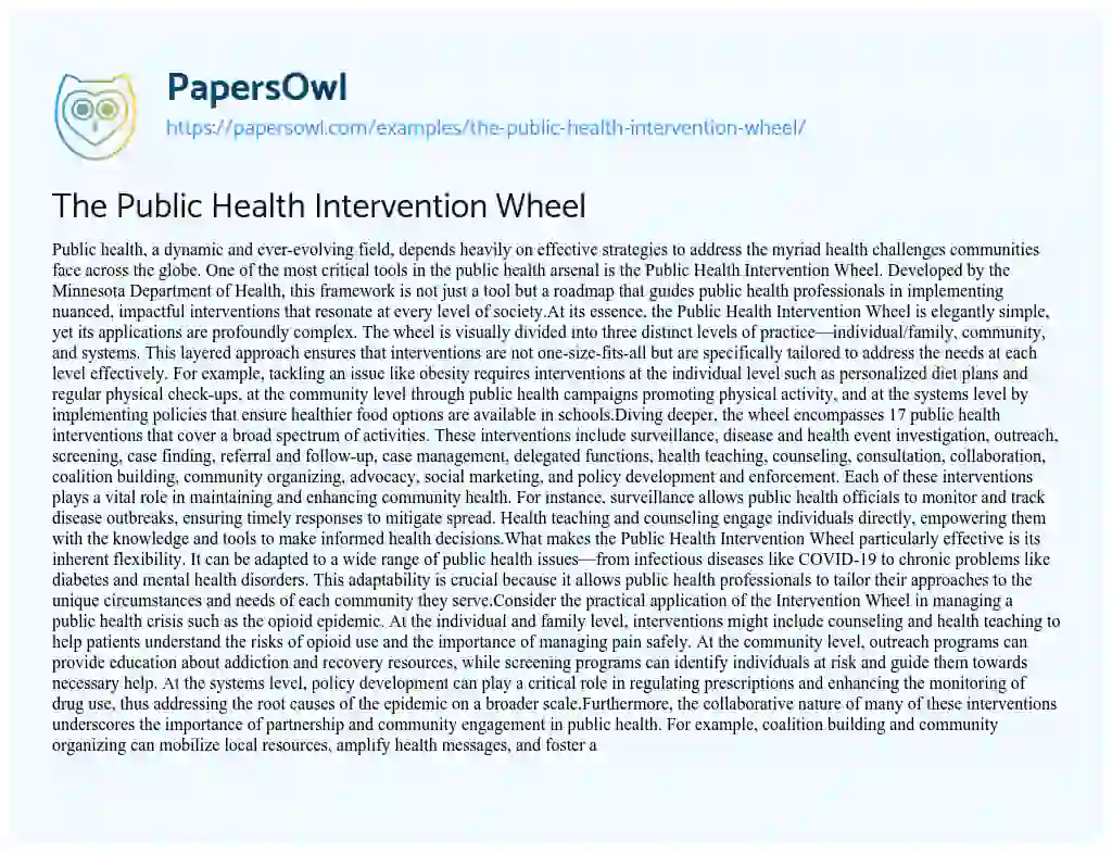 Essay on The Public Health Intervention Wheel
