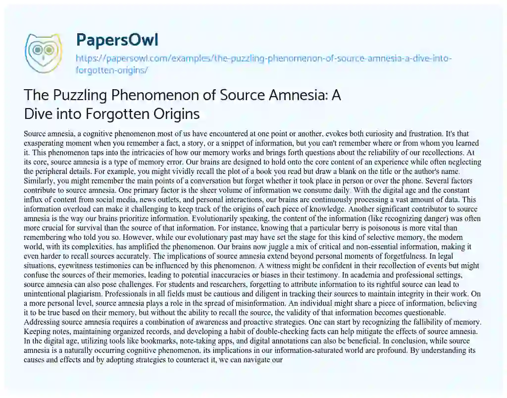 Essay on The Puzzling Phenomenon of Source Amnesia: a Dive into Forgotten Origins