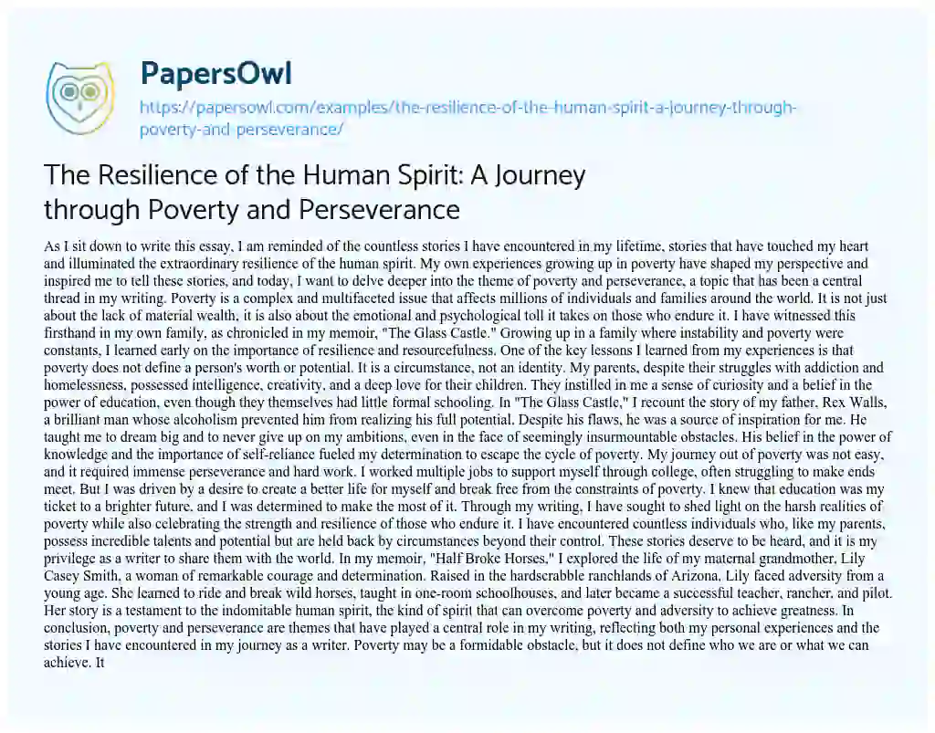Essay on The Resilience of the Human Spirit: a Journey through Poverty and Perseverance