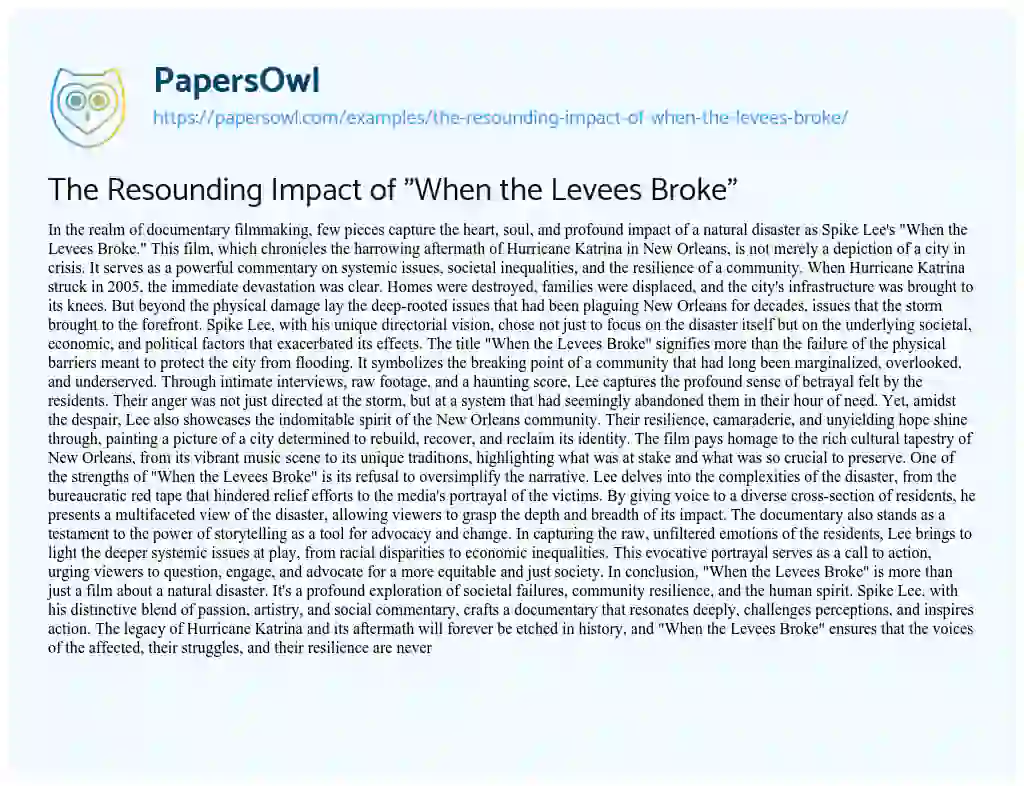 Essay on The Resounding Impact of “When the Levees Broke”