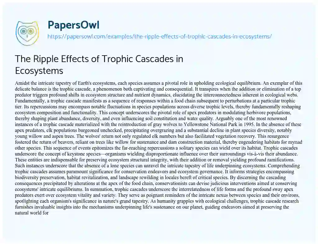Essay on The Ripple Effects of Trophic Cascades in Ecosystems