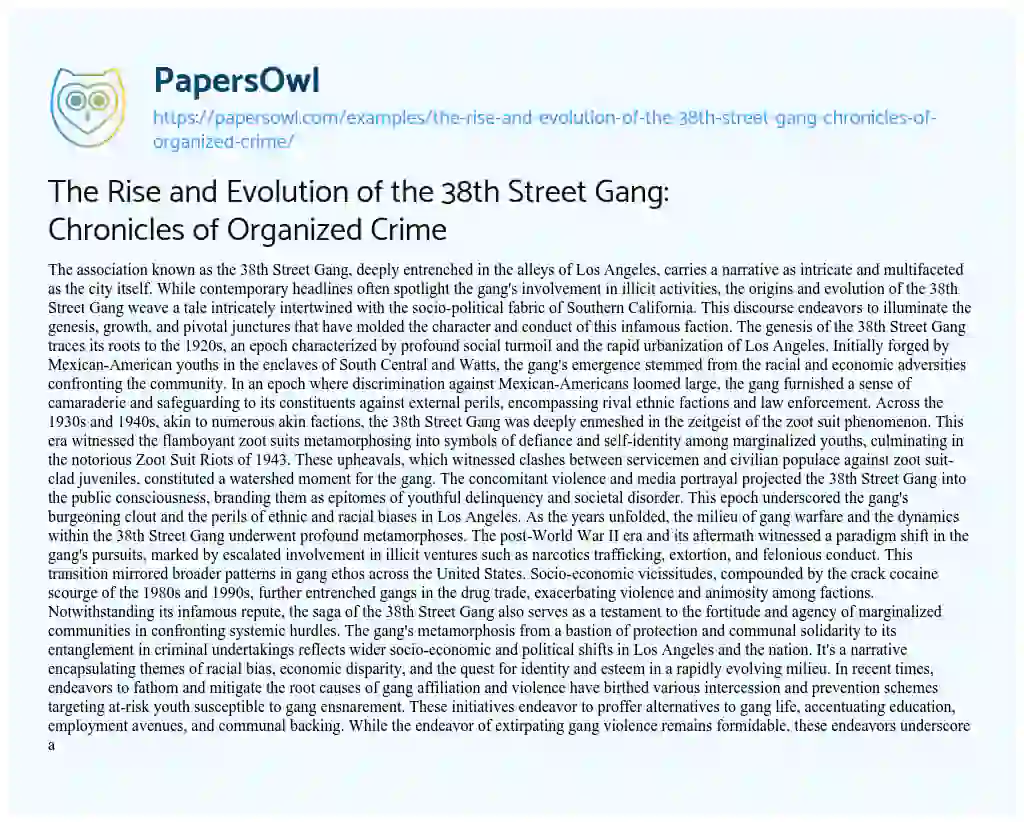 Essay on The Rise and Evolution of the 38th Street Gang: Chronicles of Organized Crime