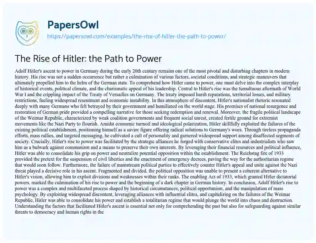 Essay on The Rise of Hitler: the Path to Power