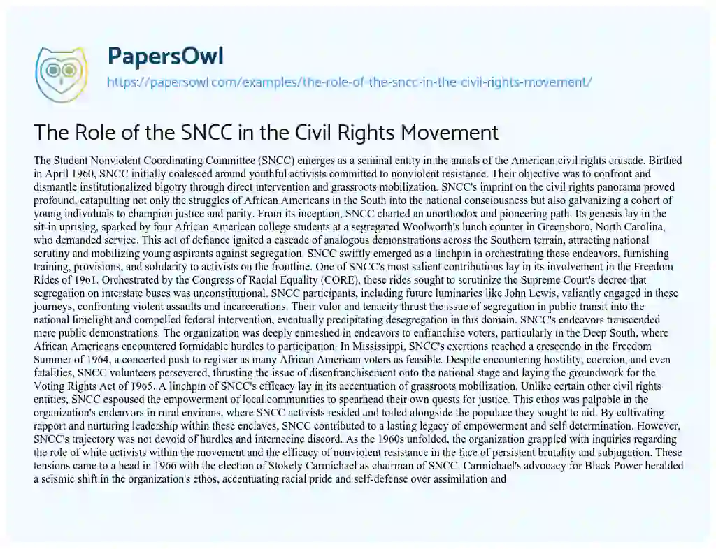 Essay on The Role of the SNCC in the Civil Rights Movement