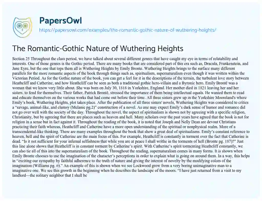 The Romantic-Gothic Nature of Wuthering Heights essay