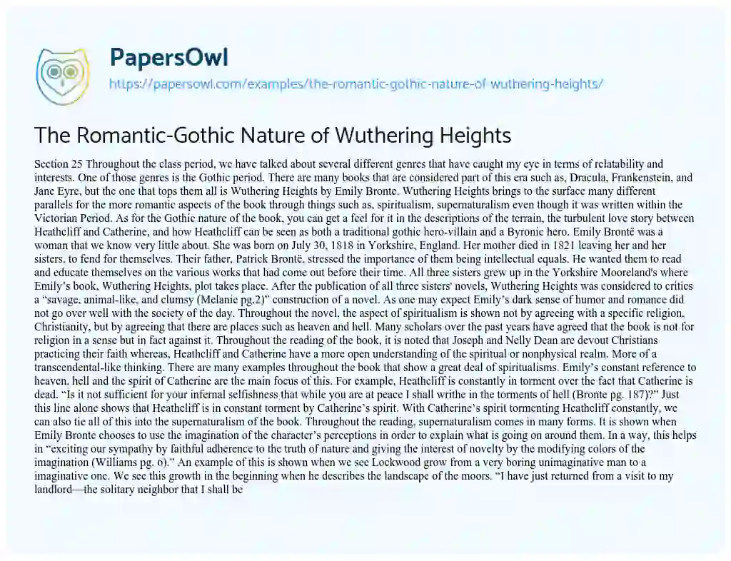 Essay on The Romantic-Gothic Nature of Wuthering Heights