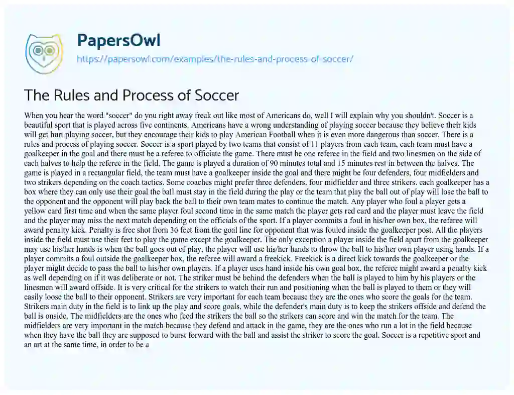 The Rules and Process of Soccer essay