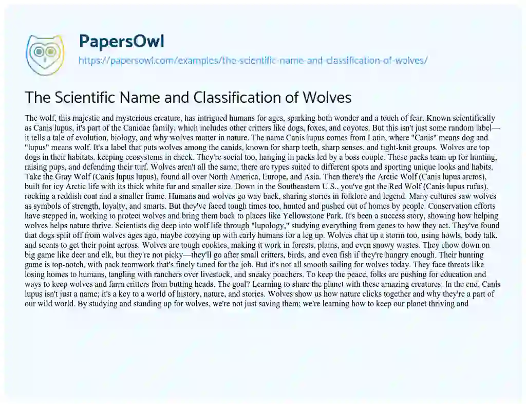 Essay on The Scientific Name and Classification of Wolves
