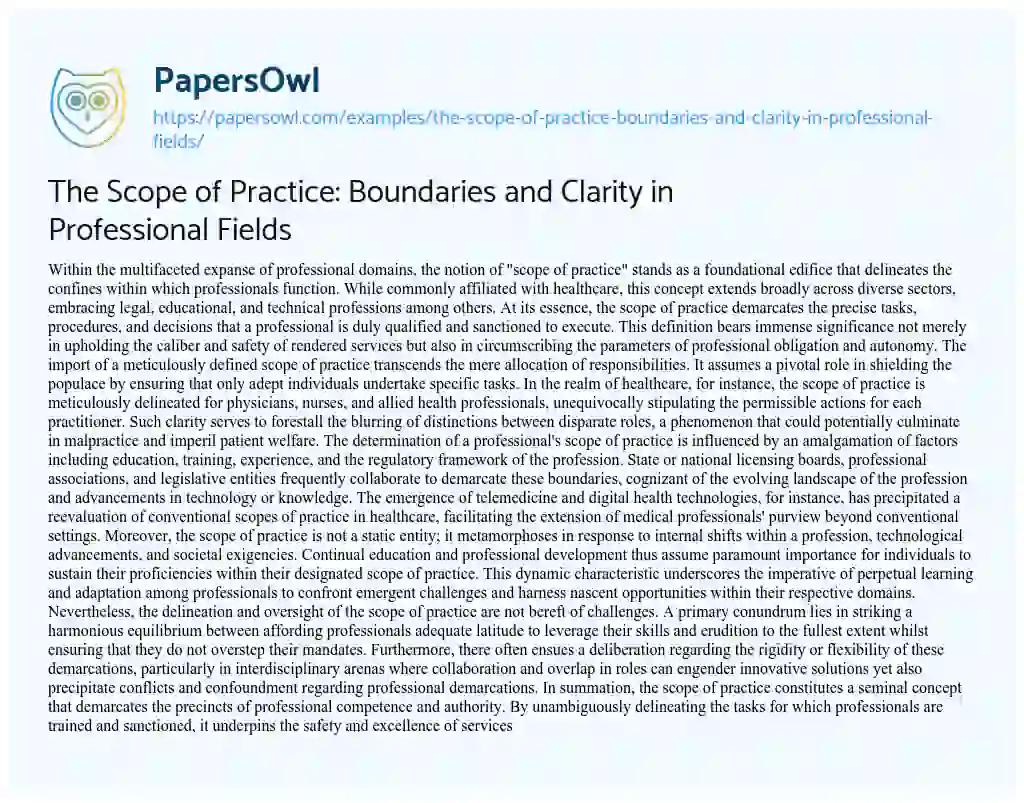 Essay on The Scope of Practice: Boundaries and Clarity in Professional Fields