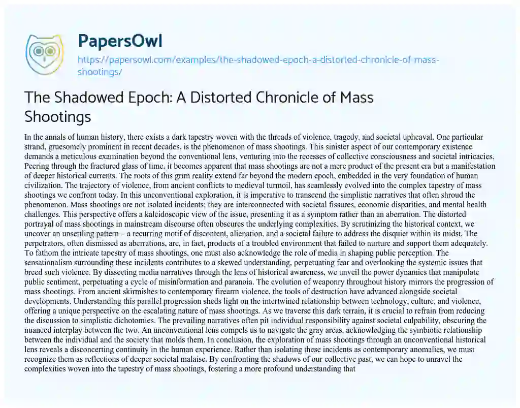 Essay on The Shadowed Epoch: a Distorted Chronicle of Mass Shootings