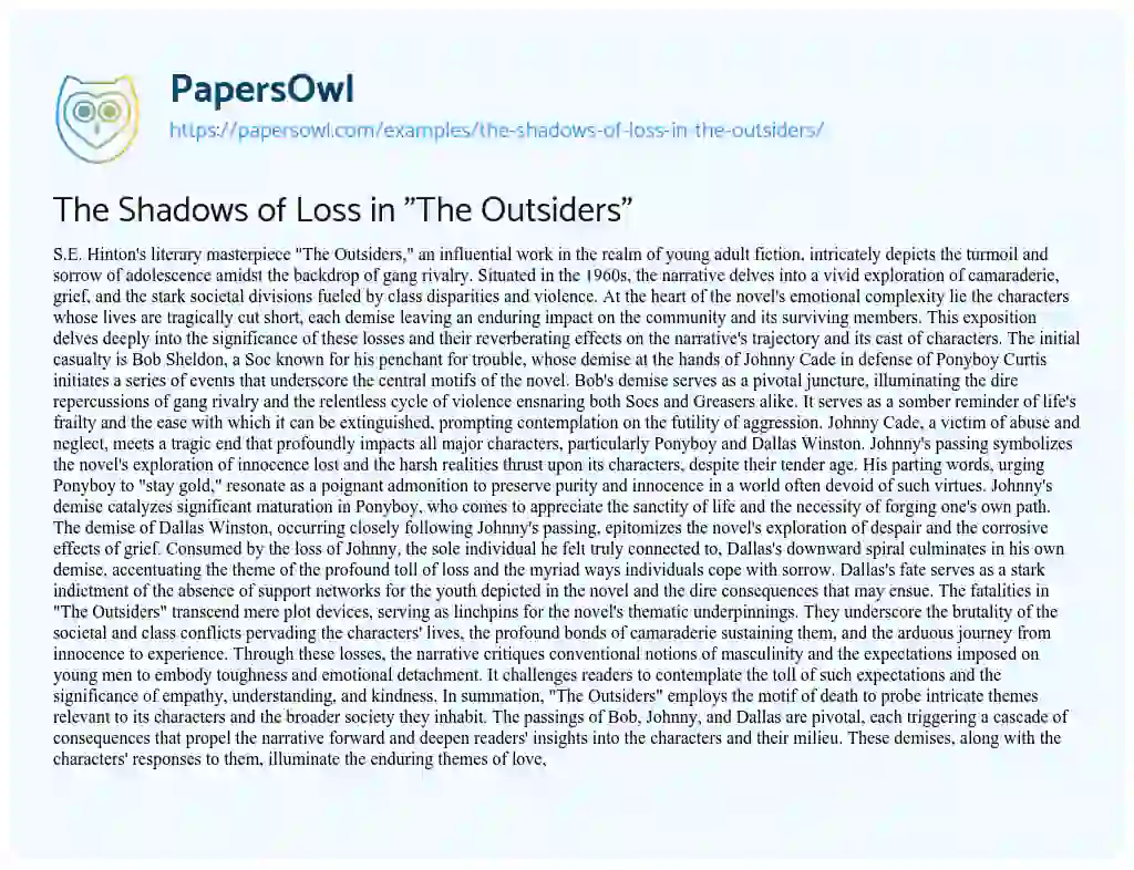 Essay on The Shadows of Loss in “The Outsiders”