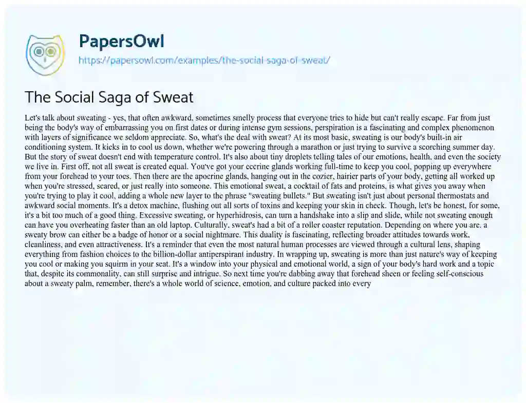Essay on The Social Saga of Sweat