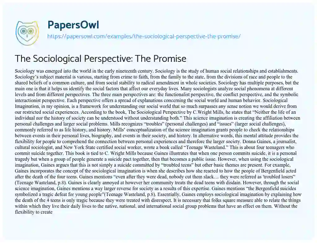 Essay on The Sociological Perspective: the Promise