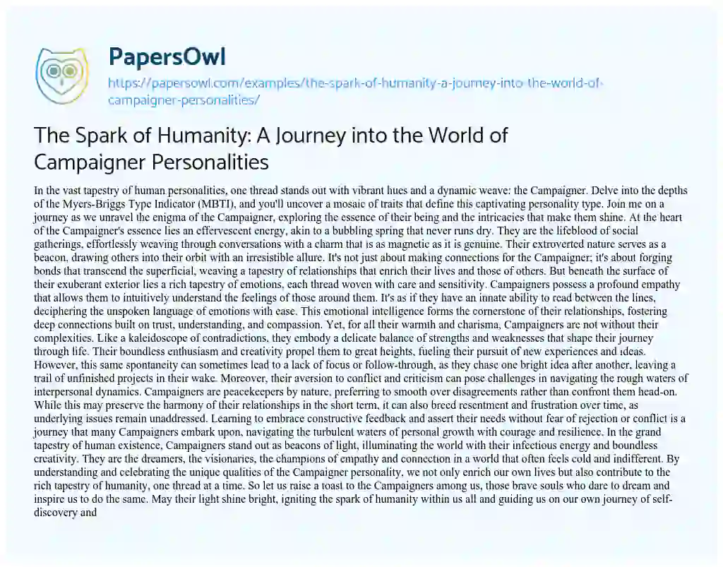 Essay on The Spark of Humanity: a Journey into the World of Campaigner Personalities