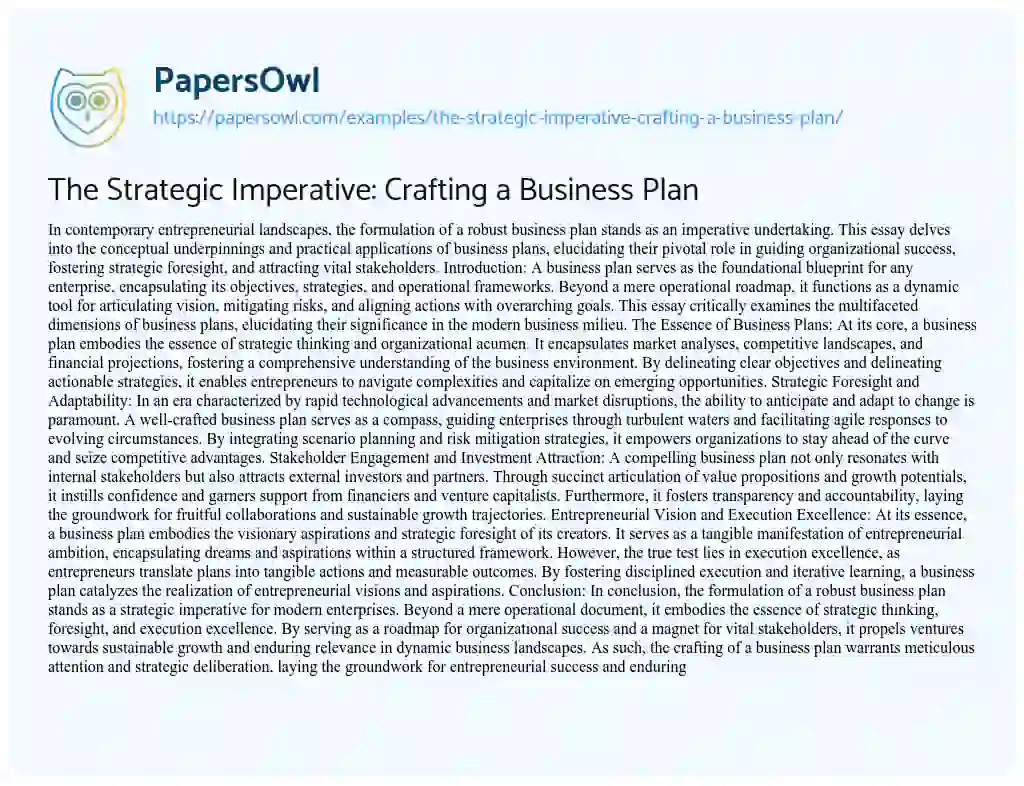 Essay on The Strategic Imperative: Crafting a Business Plan
