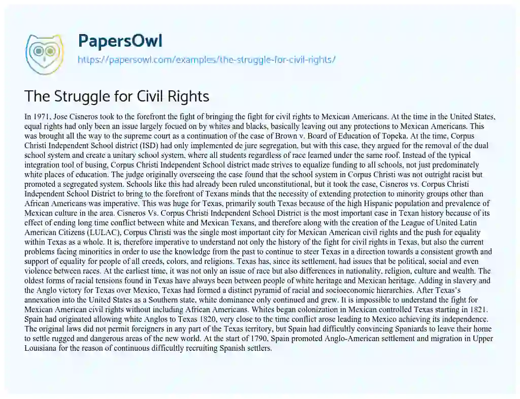 The Struggle for Civil Rights essay