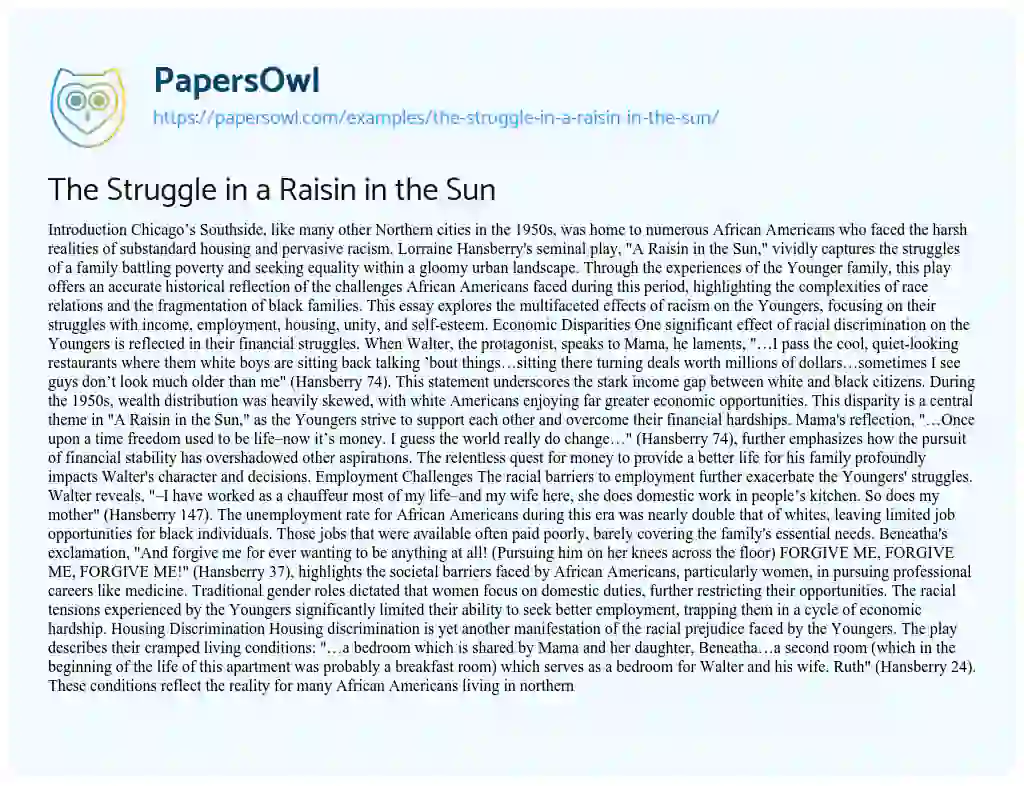 essay type questions on raisin in the sun