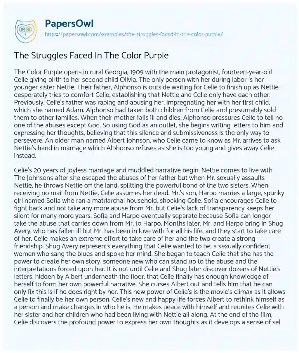 Essay on The Struggles Faced in the Color Purple