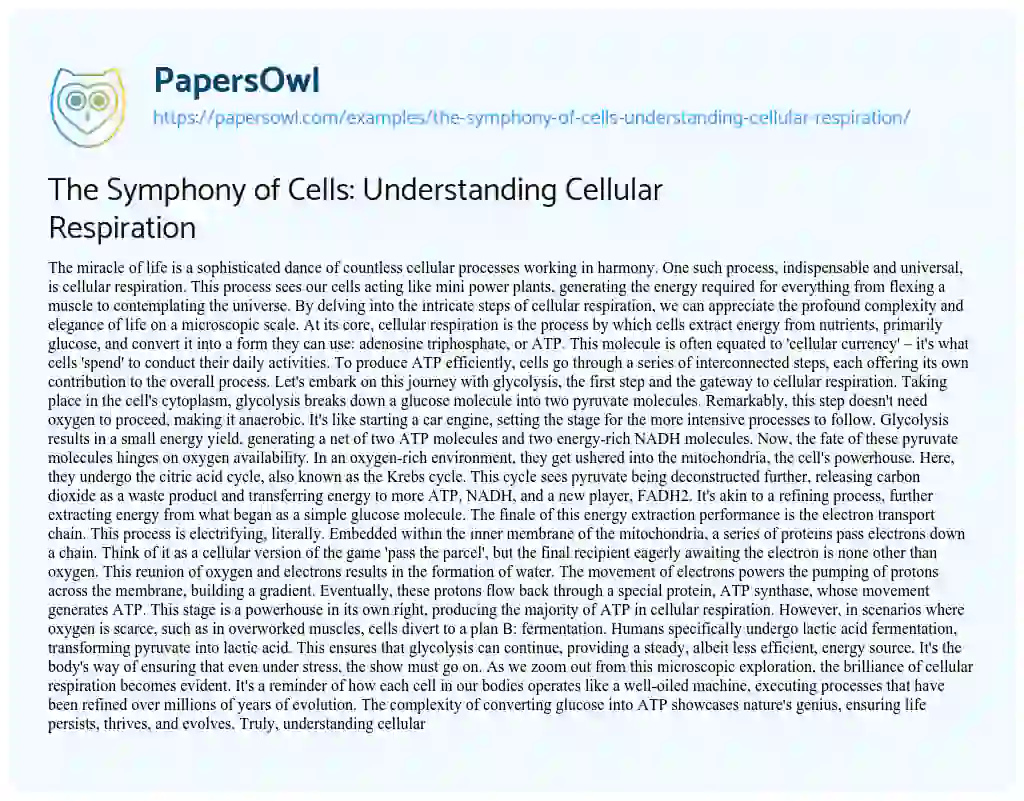 Essay on The Symphony of Cells: Understanding Cellular Respiration