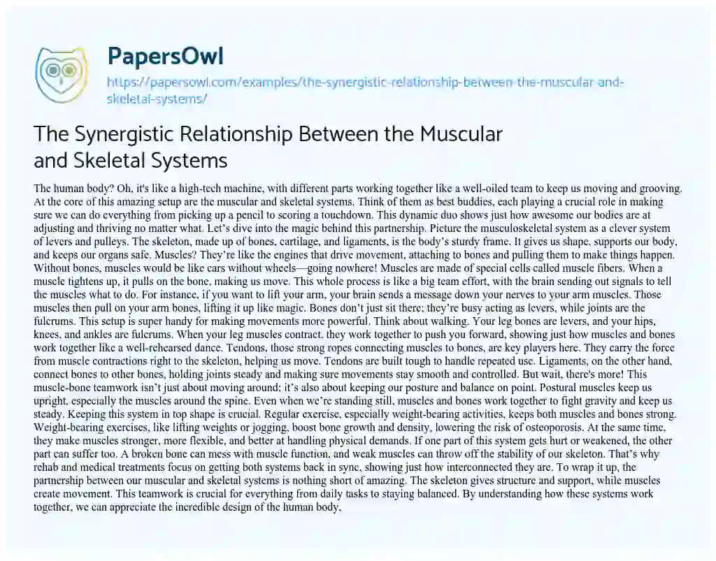 Essay on The Synergistic Relationship between the Muscular and Skeletal Systems