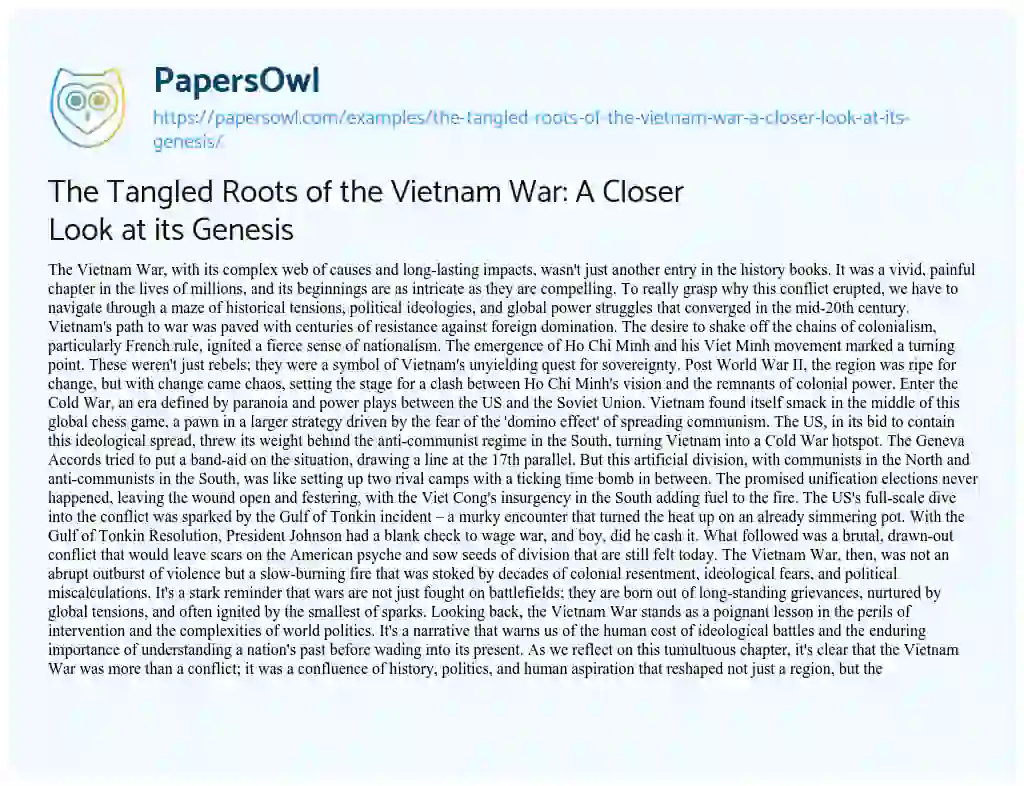 Essay on The Tangled Roots of the Vietnam War: a Closer Look at its Genesis