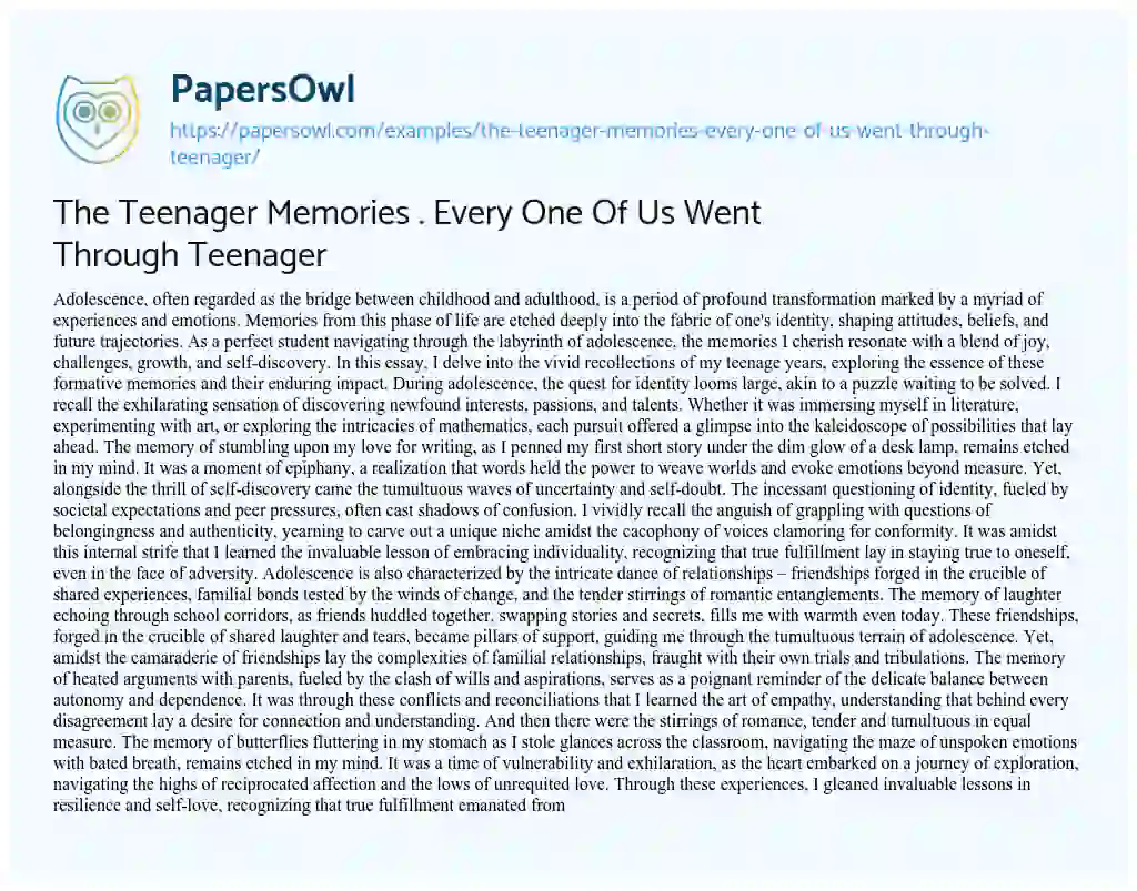 Essay on The Teenager Memories . Every One of Us Went through Teenager